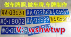 定制车牌照,2025年全新的定制车牌照